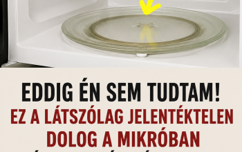 Eddig én sem tudtam! Ez az apró alkatrész a mikróban sokkal fontosabb, mint hinnéd