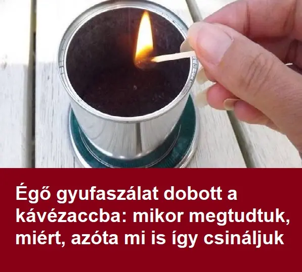 kavezacc 1