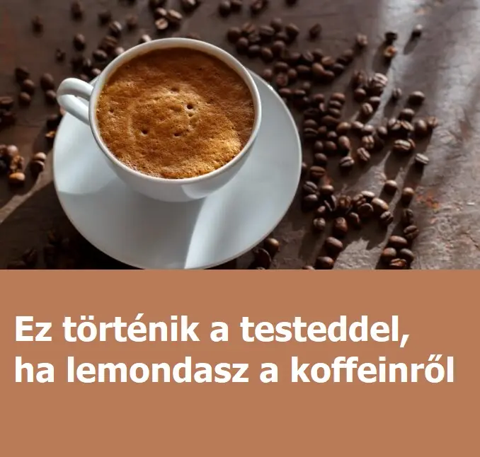 koffeinx381