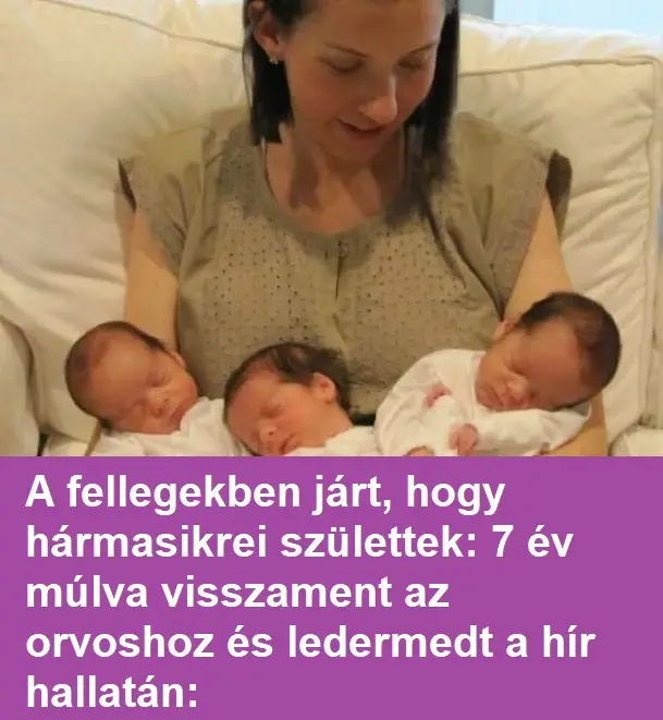 3ikerx381