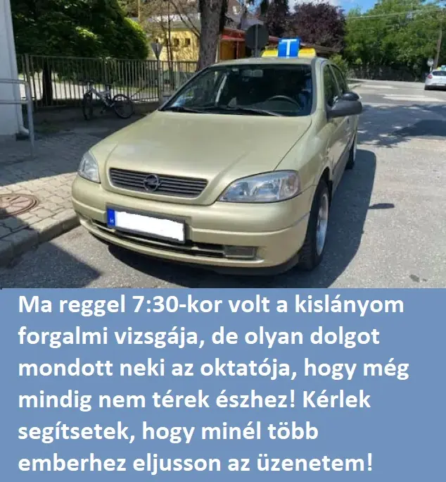 auto 81