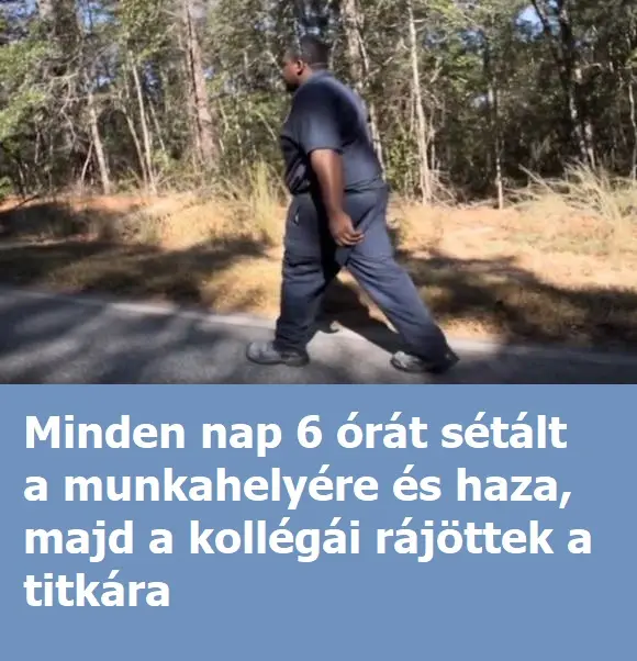 napihatoraseta0a