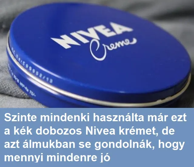niveax445 1