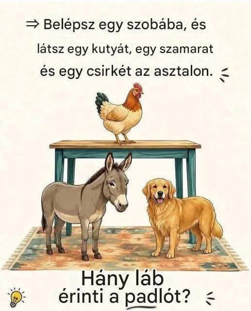 hanylaberinti085 n