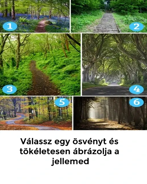 valassz egy osvenyt